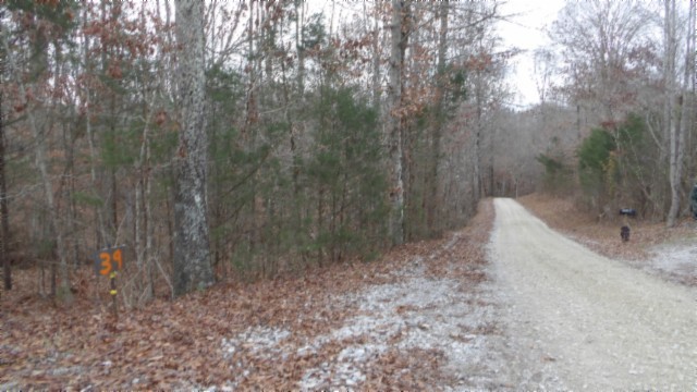 39 Sunset Rdg Lane Hilham, TN 38568 - Photo 26 of 52 Gallery Image 26