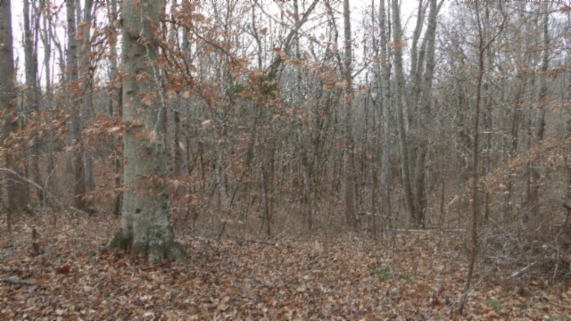 39 Sunset Rdg Lane Hilham, TN 38568 - Photo 28 of 52 Gallery Image 28