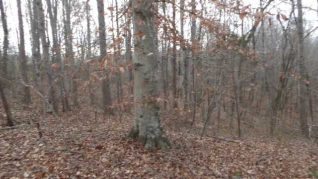 39 Sunset Rdg Lane Hilham, TN 38568 - Photo 29 of 52 Gallery Image 29