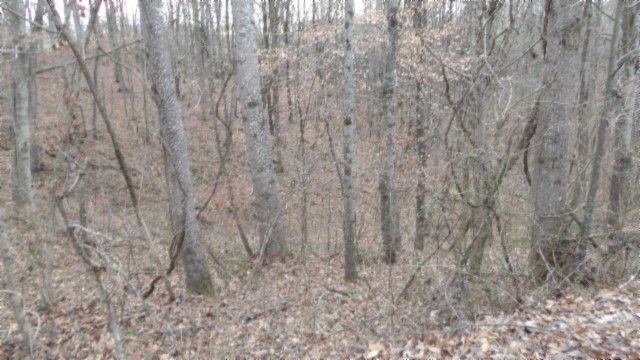 39 Sunset Rdg Lane Hilham, TN 38568 - Photo 34 of 52 Gallery Image 34