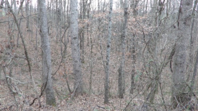 39 Sunset Rdg Lane Hilham, TN 38568 - Photo 35 of 52 Gallery Image 35