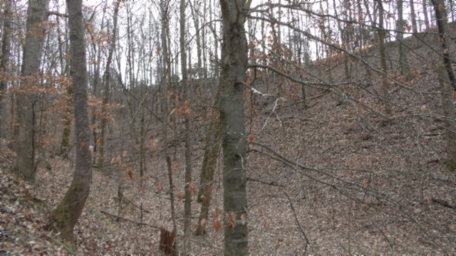 39 Sunset Rdg Lane Hilham, TN 38568 - Photo 43 of 52 Gallery Image 43