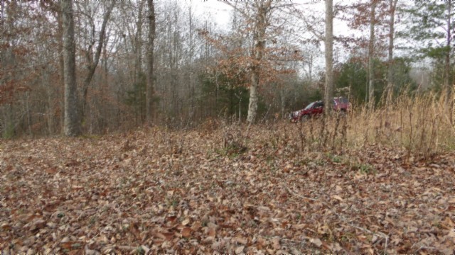 39 Sunset Rdg Lane Hilham, TN 38568 - Photo 10 of 52 Gallery Image 10