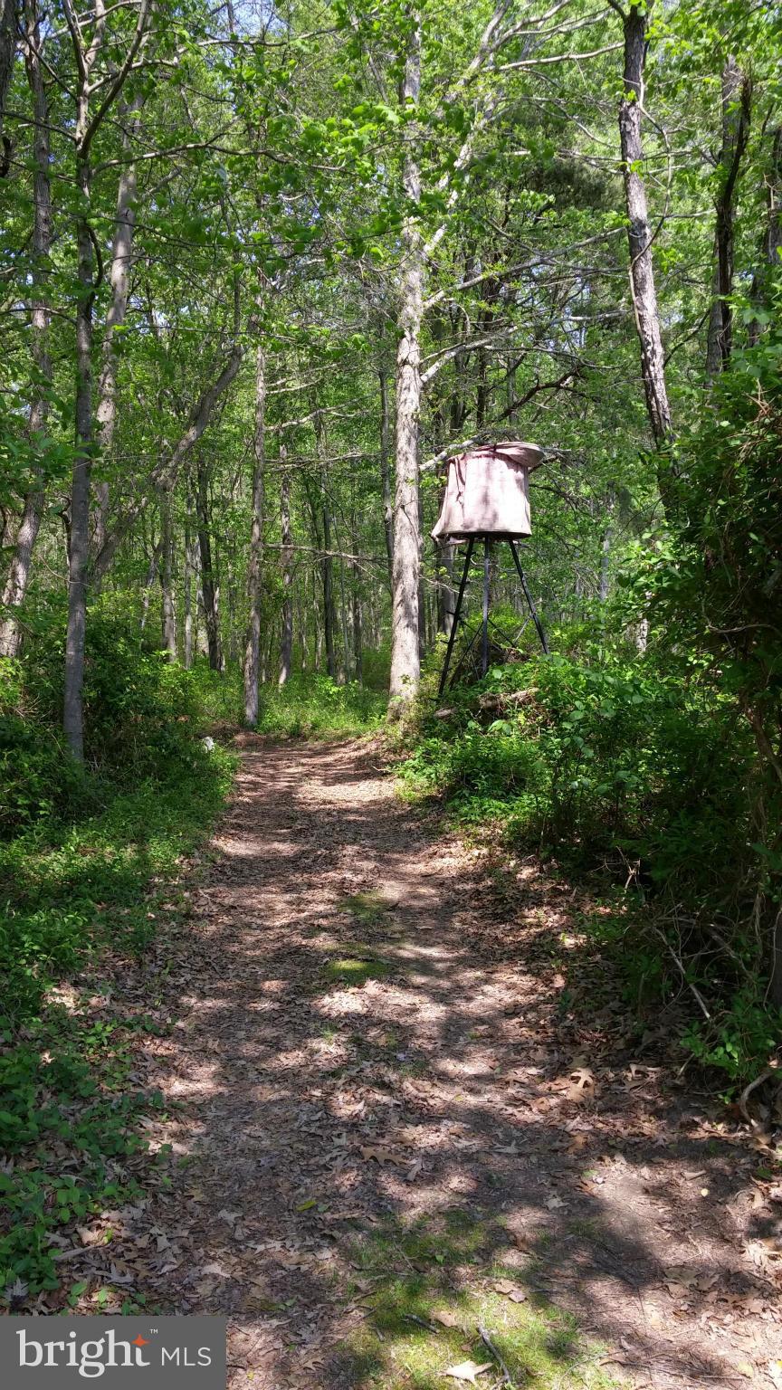 17685 Henderson Road Marydel, MD 21649 - Photo 24 of 27 1 of 2 deer stands