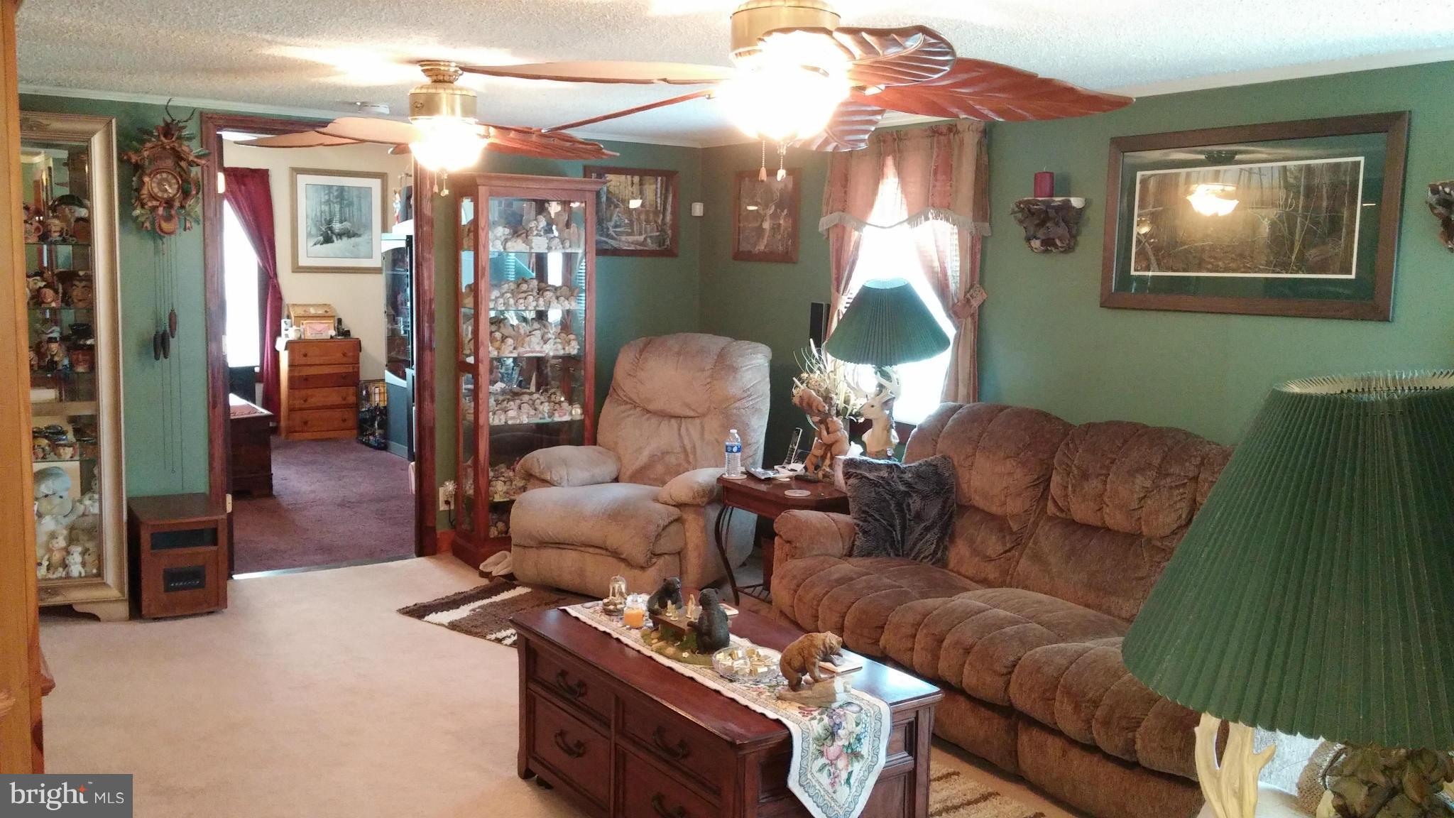 17685 Henderson Road Marydel, MD 21649 - Photo 6 of 27 Living Room
