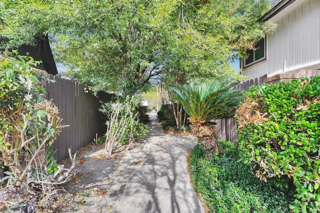 a view of a garden with plants and large trees