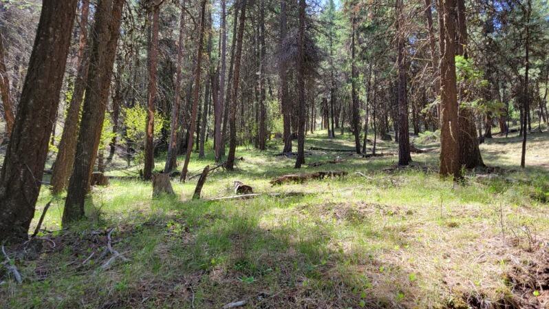 1315 Lofton Creek Road Prineville, OR 97754 - Photo 35 of 61 image000001 (11)