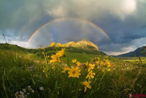 a view of outdoor space and garden