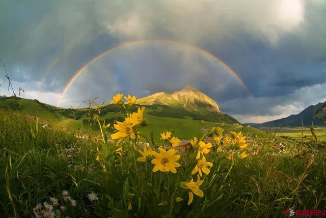 a view of outdoor space and garden