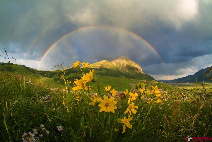 333 South Avion Drive Crested Butte, CO 81224 - Photo 19 of 21 a view of outdoor space and garden