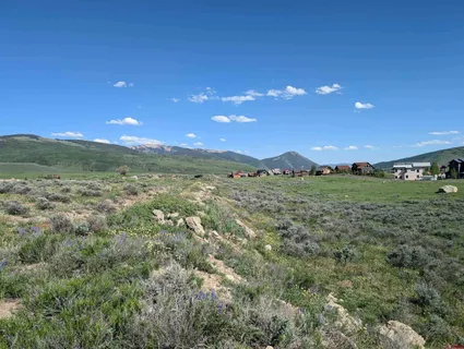 a view of a big yard