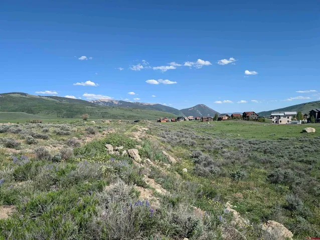 a view of a big yard