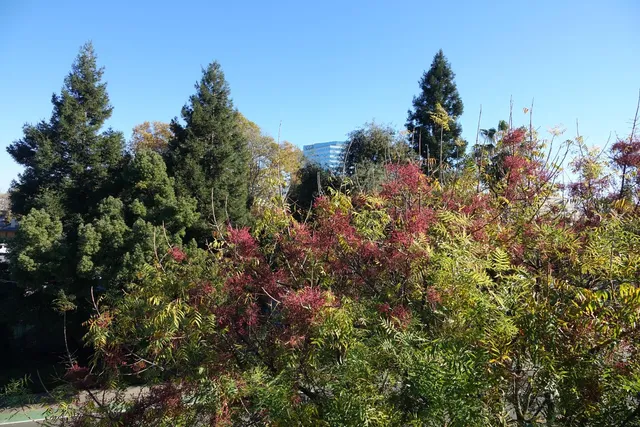 $412,000 | 423 Harriet Lane, West Sacramento, CA 95605