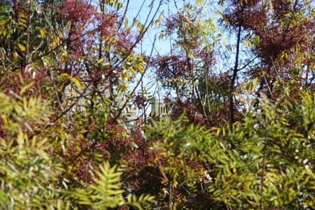 $412,000 | 423 Harriet Lane, West Sacramento, CA 95605