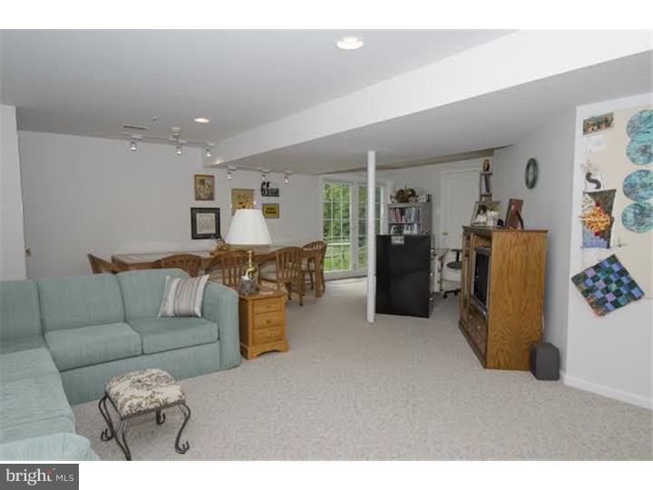 800 Croton Road Wayne, PA 19087 - Photo 14 of 19 Walk-out Basement