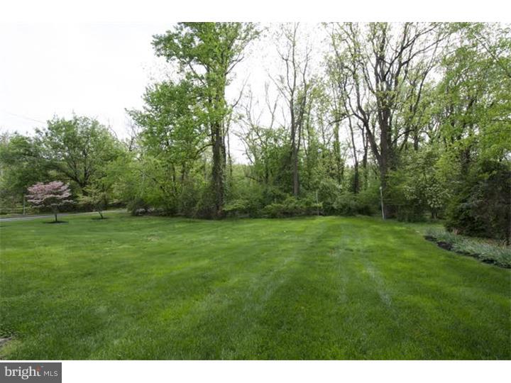 800 Croton Road Wayne, PA 19087 - Photo 19 of 19 Side Yard