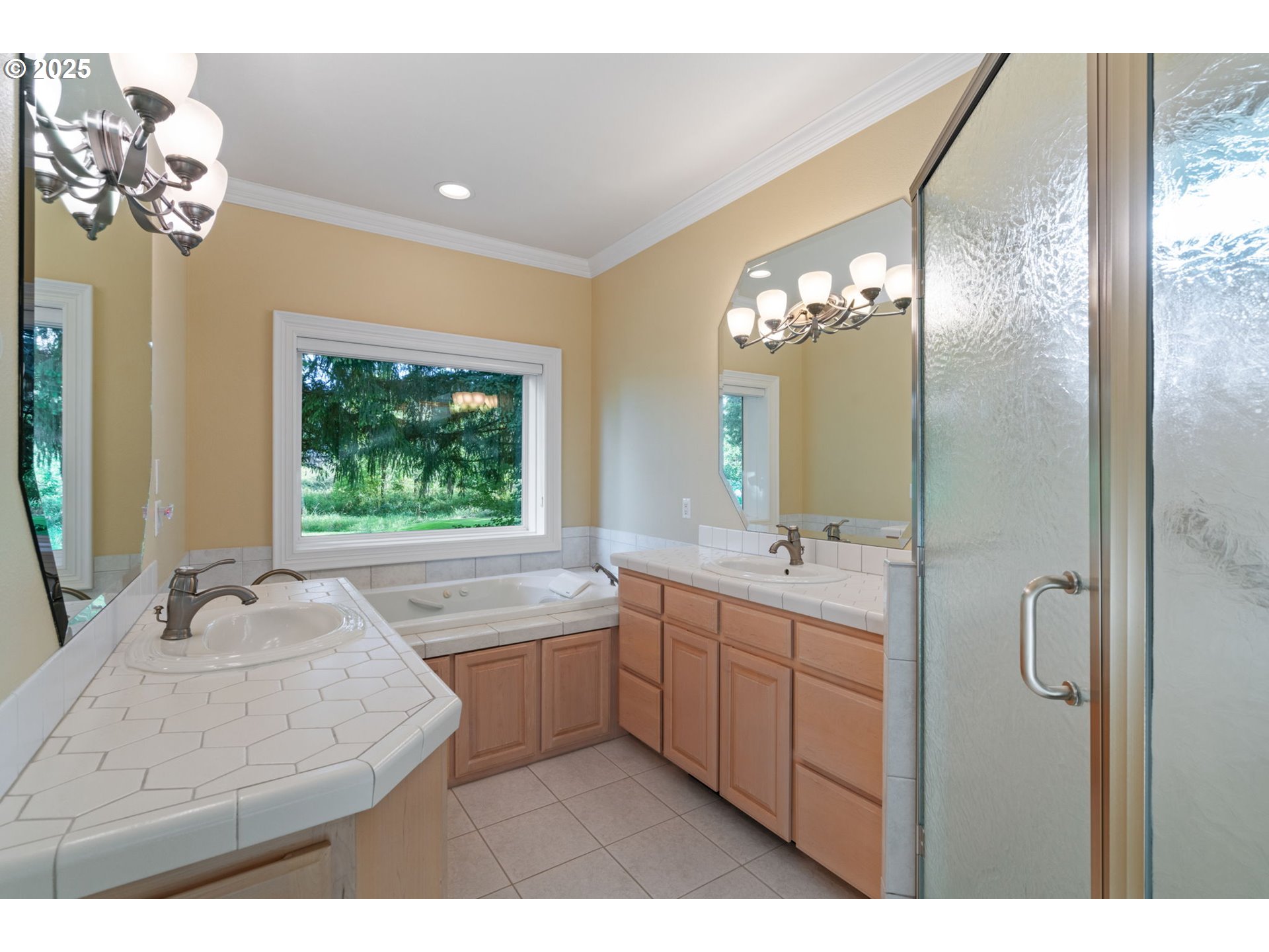 3110 Northwest Lacamas Drive Camas, WA 98607 - Photo 25 of 48 a bathroom with a tub sink and mirror