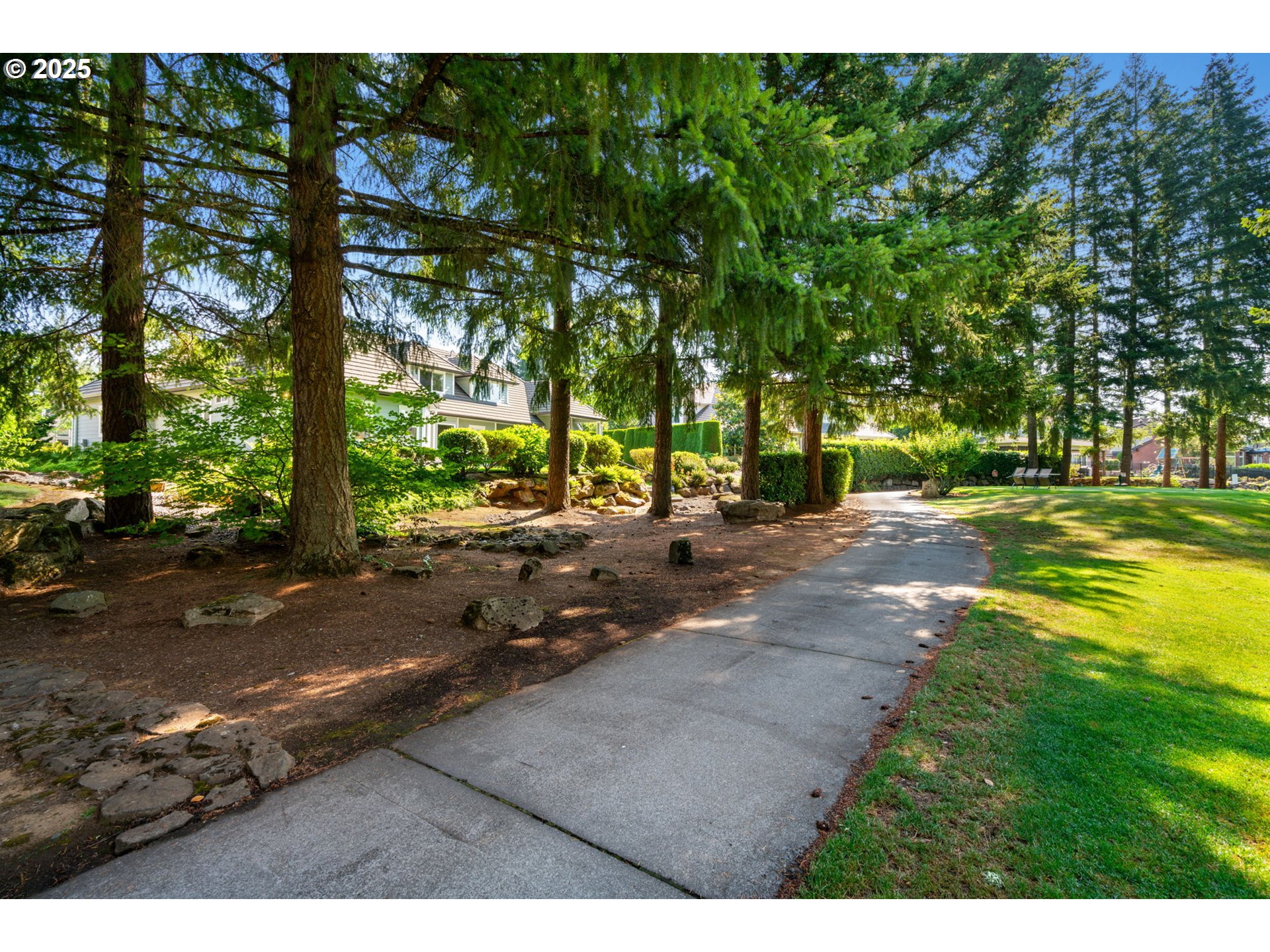 3110 Northwest Lacamas Drive Camas, WA 98607 - Photo 46 of 48 a view of a street with large trees