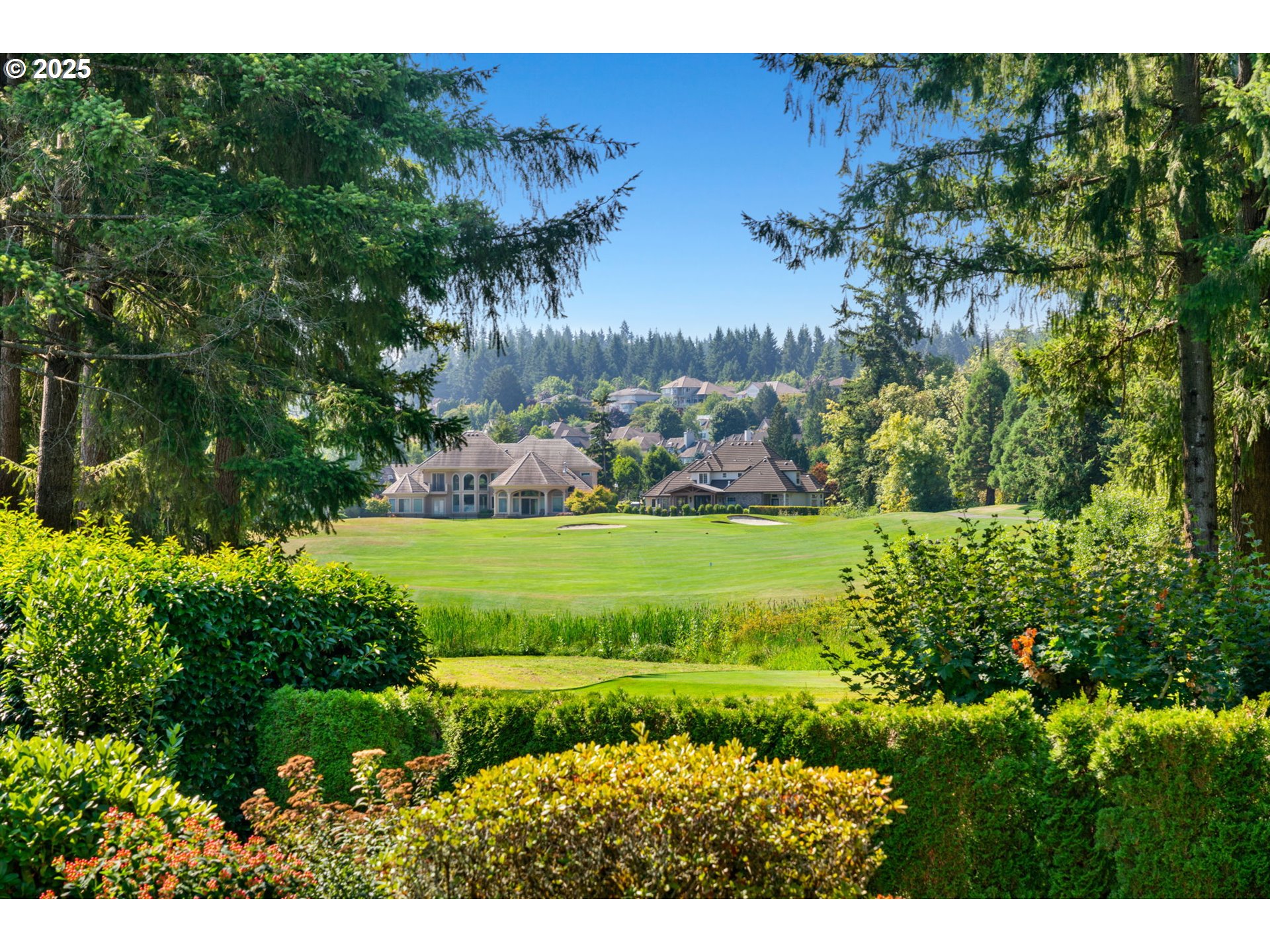 3110 Northwest Lacamas Drive Camas, WA 98607 - Photo 47 of 48 a view of a park with a tree