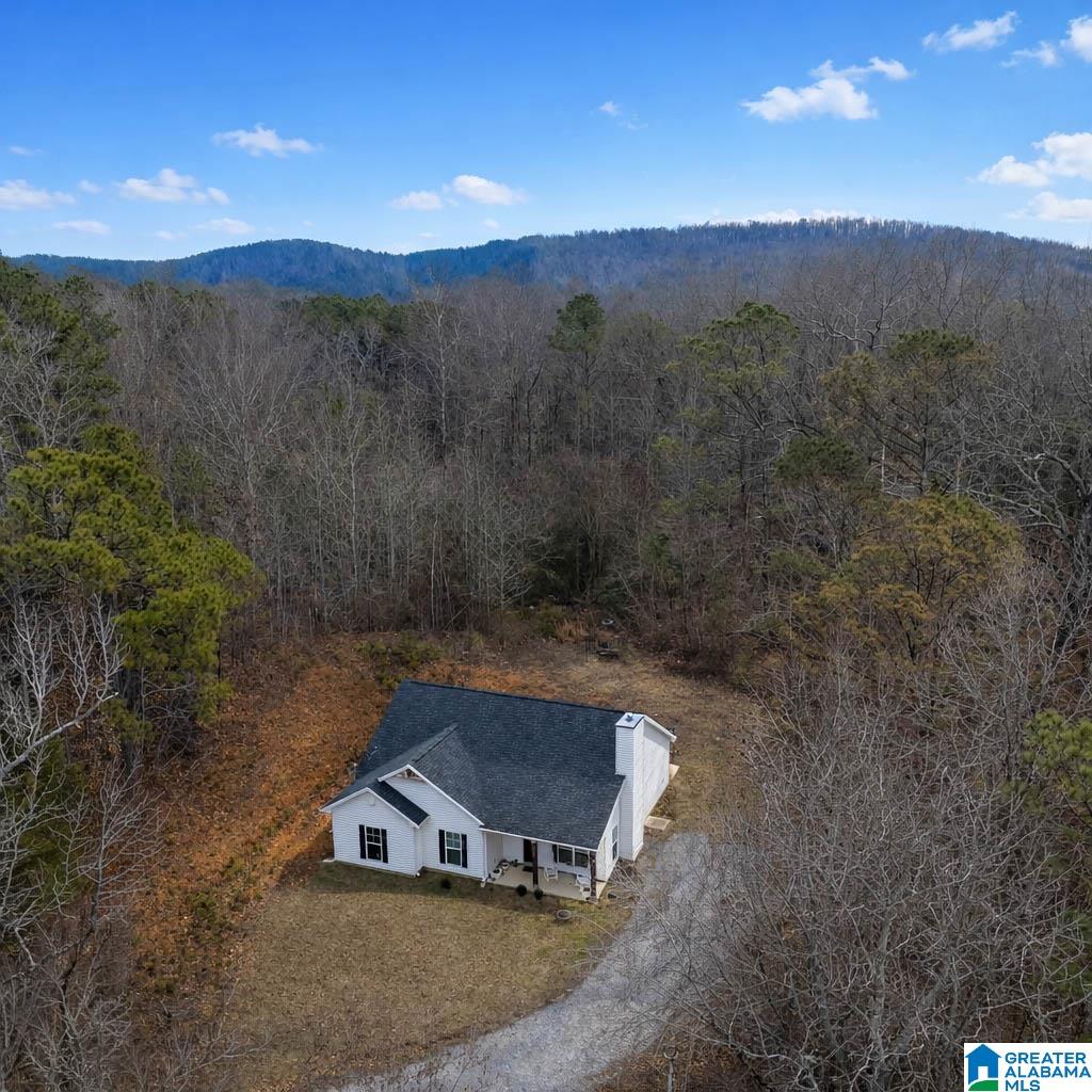 10940 Mudd Street Ohatchee, AL 36271 - Photo 31 of 37