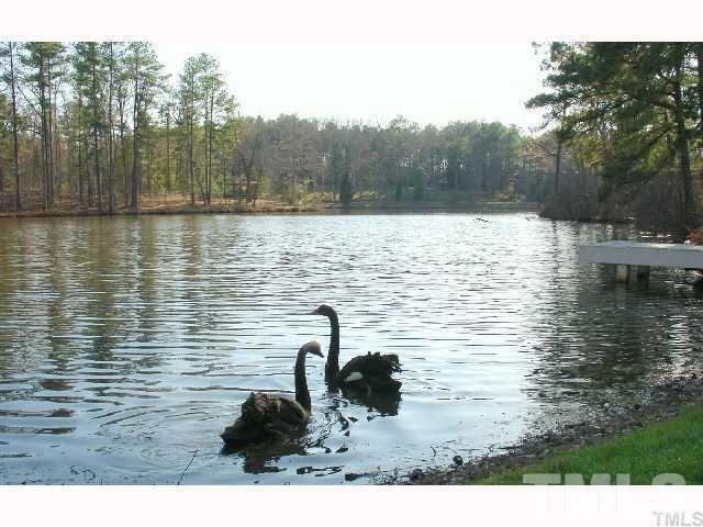 a lake view