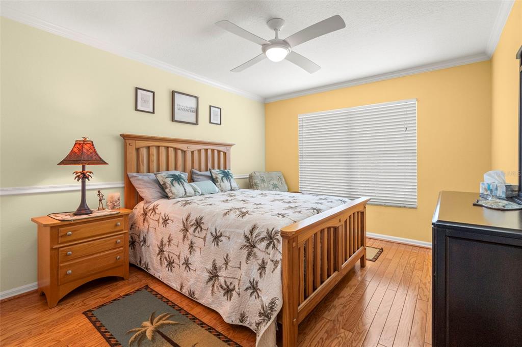 6170 Seaside Drive New Port Richey, FL 34652 - Photo 30 of 89 a bedroom with a bed and a chandelier