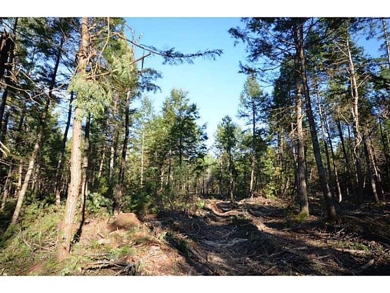 733 Spring Bridge Road Greenbush, ME 04418 - Photo 3 of 20 Land/Lot. hiking trail