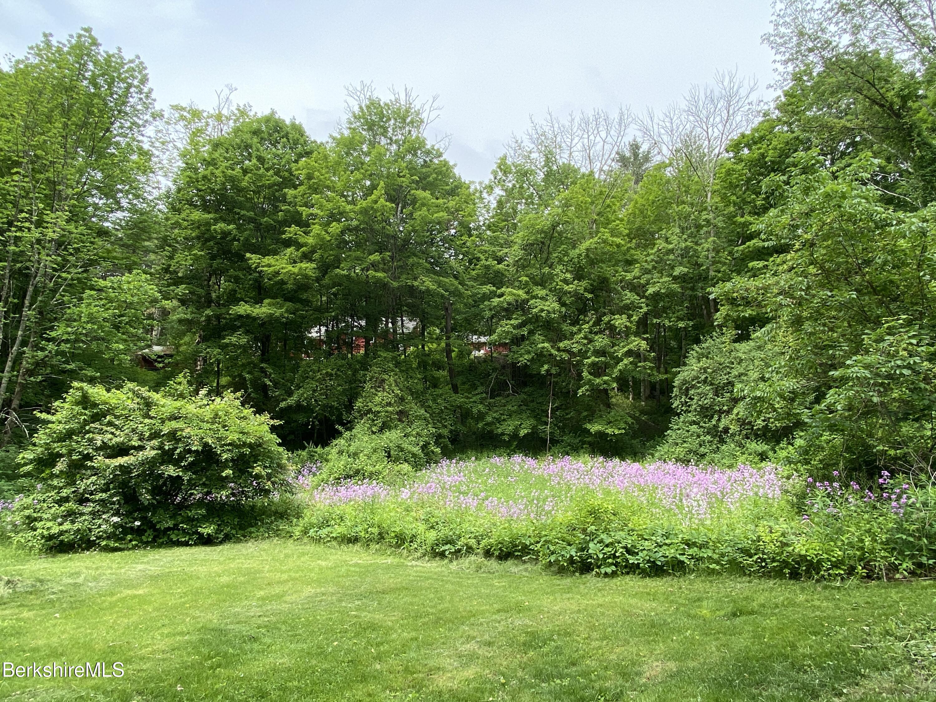 151 Hillsdale Road Egremont, MA 01230 - Photo 21 of 23 a view of green field with plants in front of it