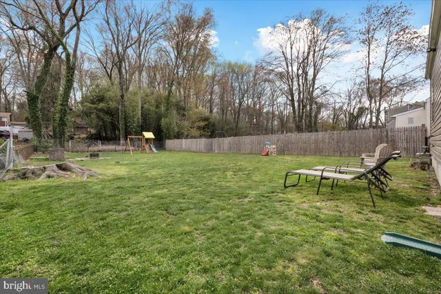 a view of a park with large trees