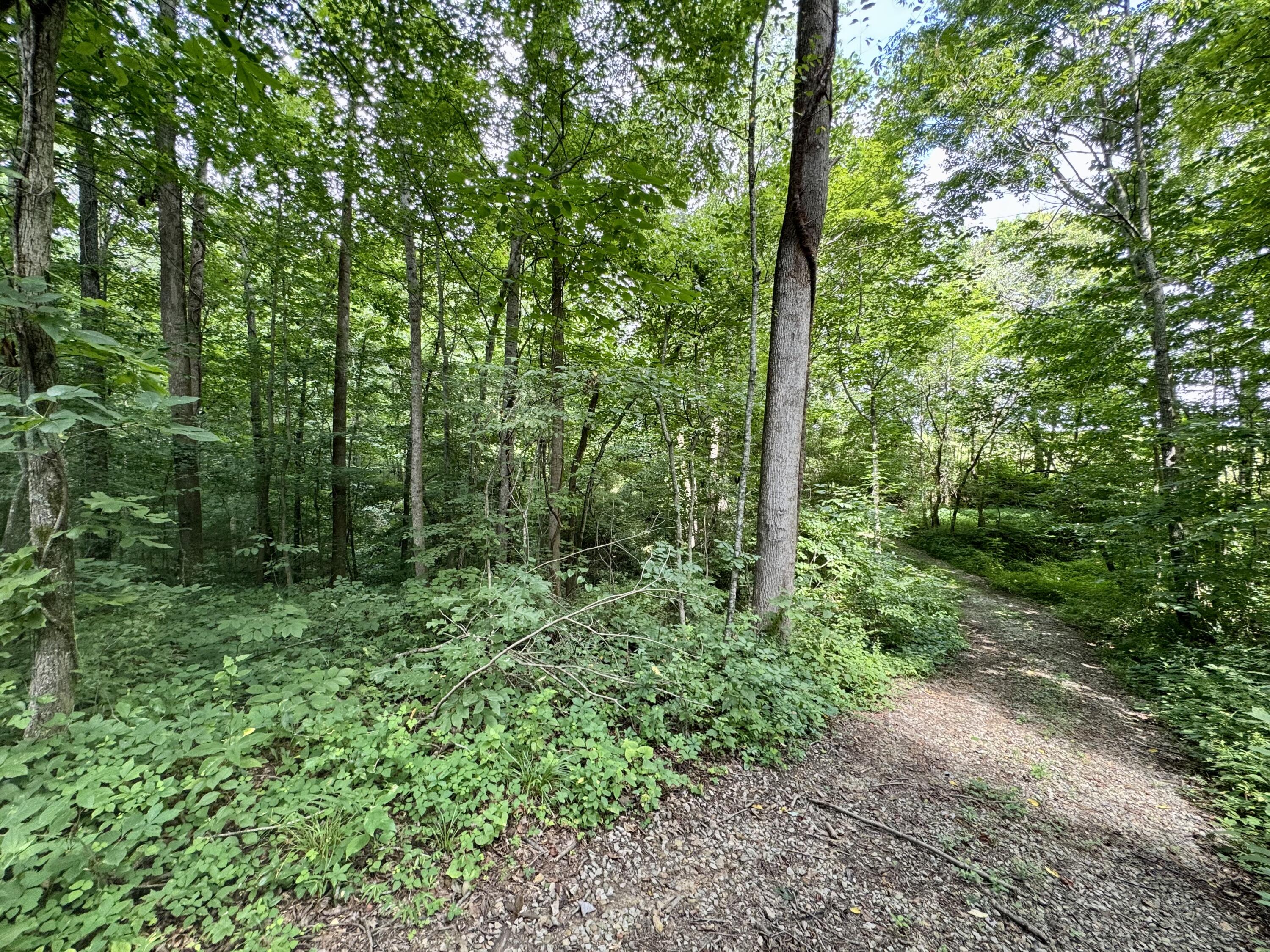 3280 Ewing Ridge Road Dunnville, KY 42528 - Photo 23 of 40 IMG_3990