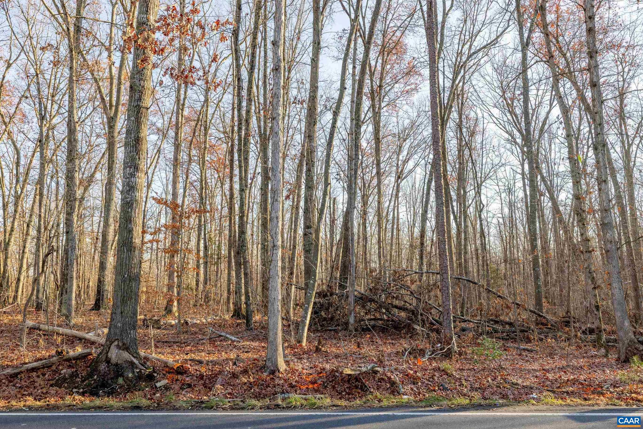 Carpenters Mill Road Barboursville, VA 22923 - Photo 2 of 7