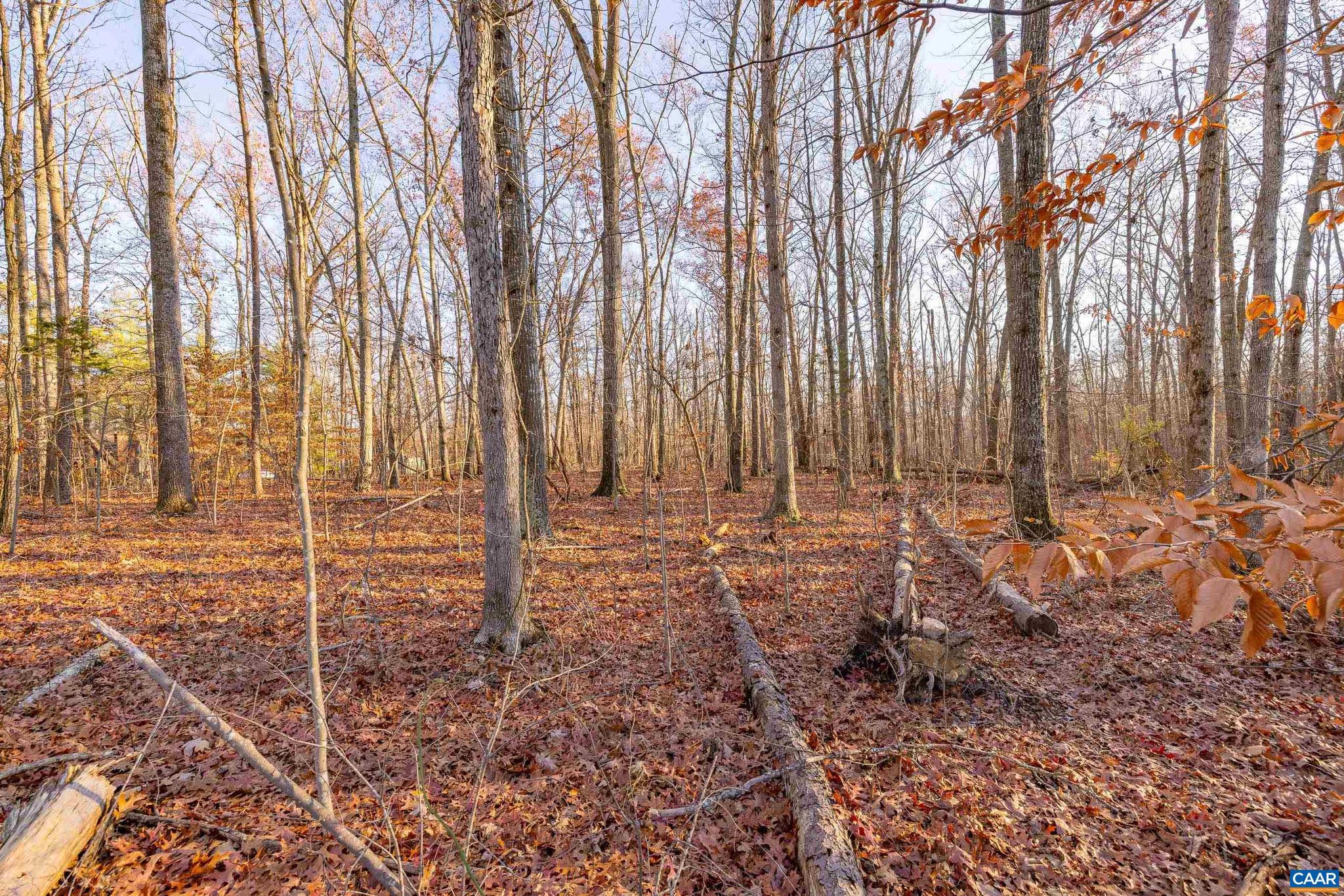 Carpenters Mill Road Barboursville, VA 22923 - Photo 4 of 7