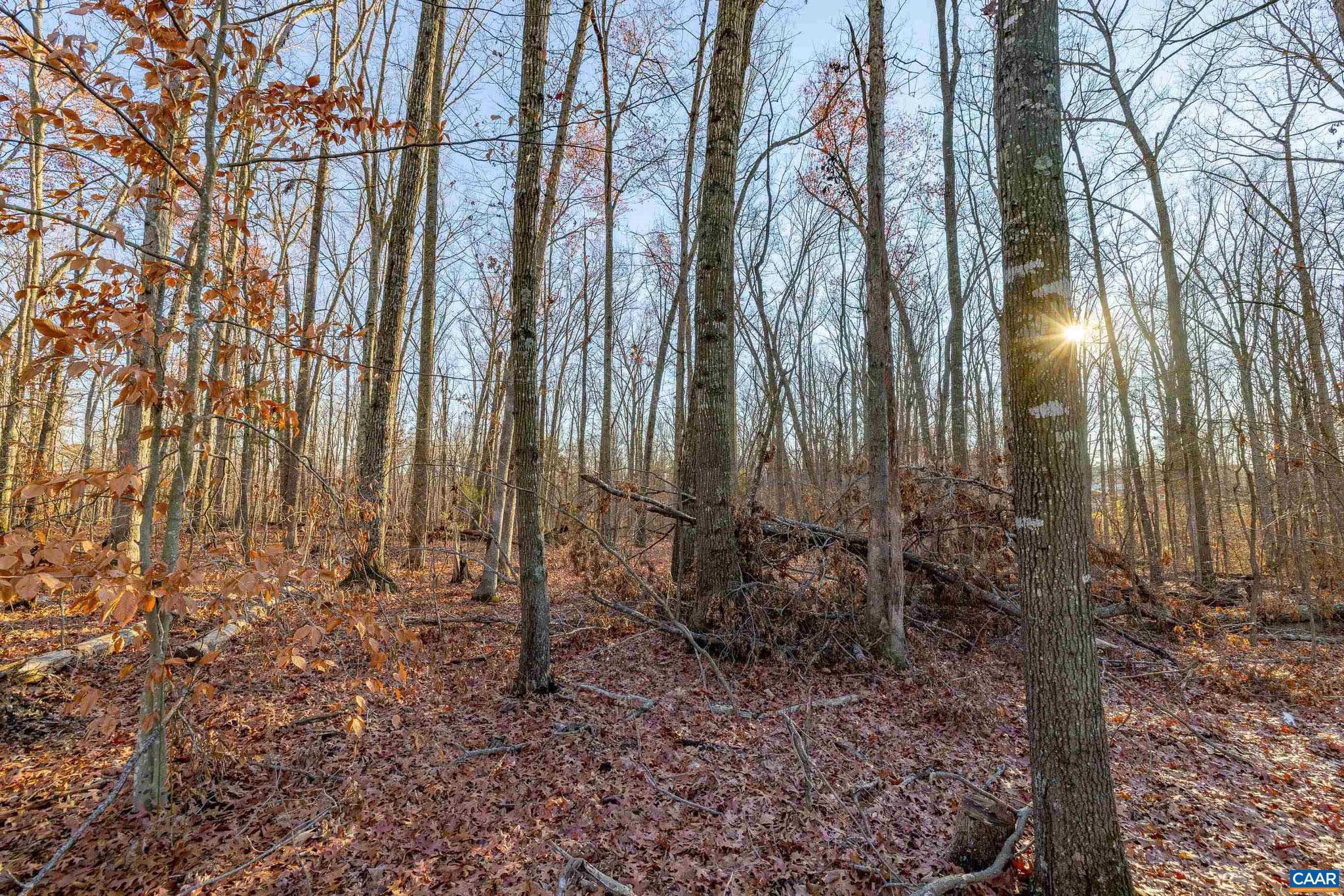 Carpenters Mill Road Barboursville, VA 22923 - Photo 5 of 7