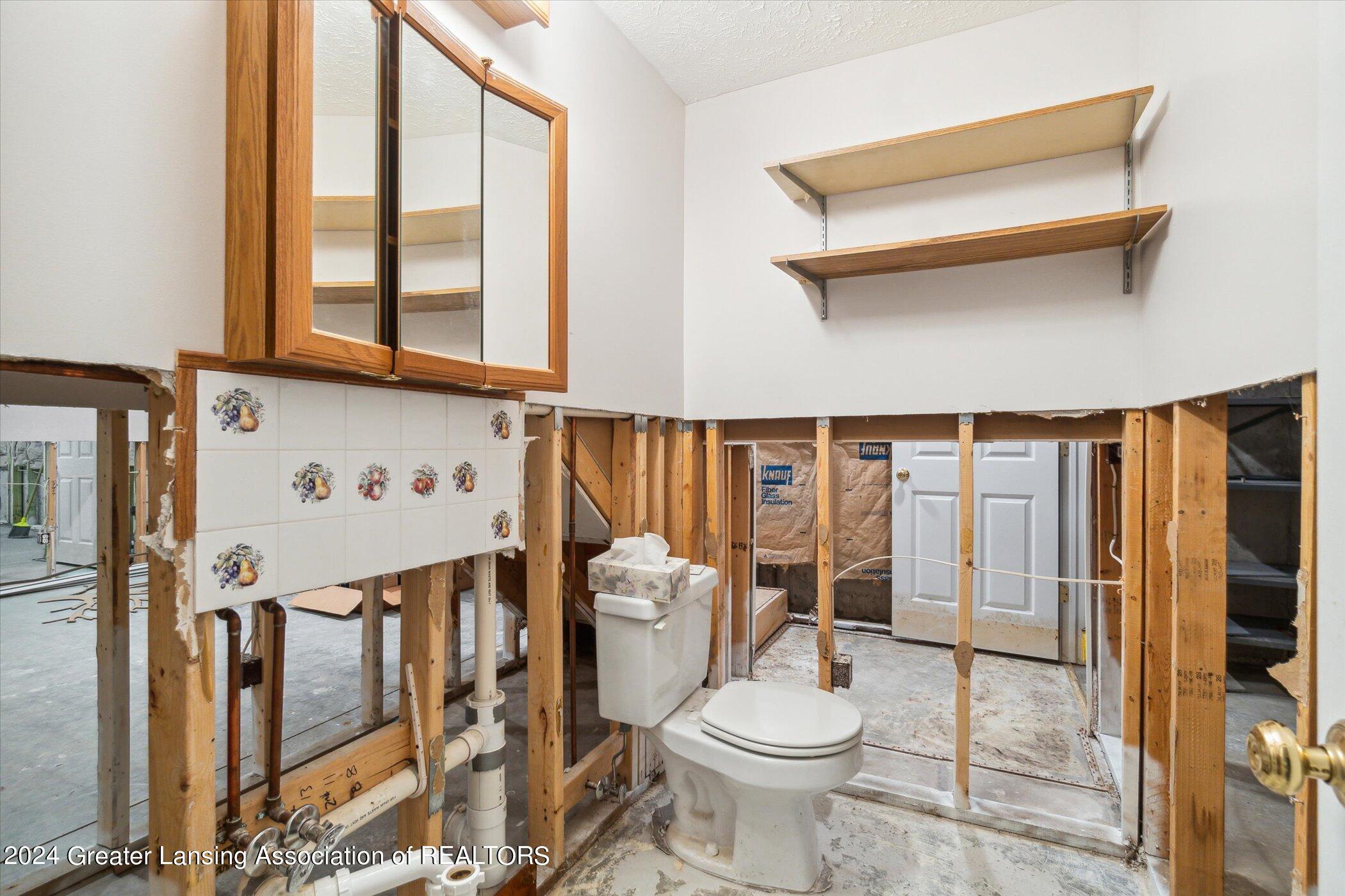 12550 Watson Road Bath, MI 48808 - Photo 44 of 76 Basement