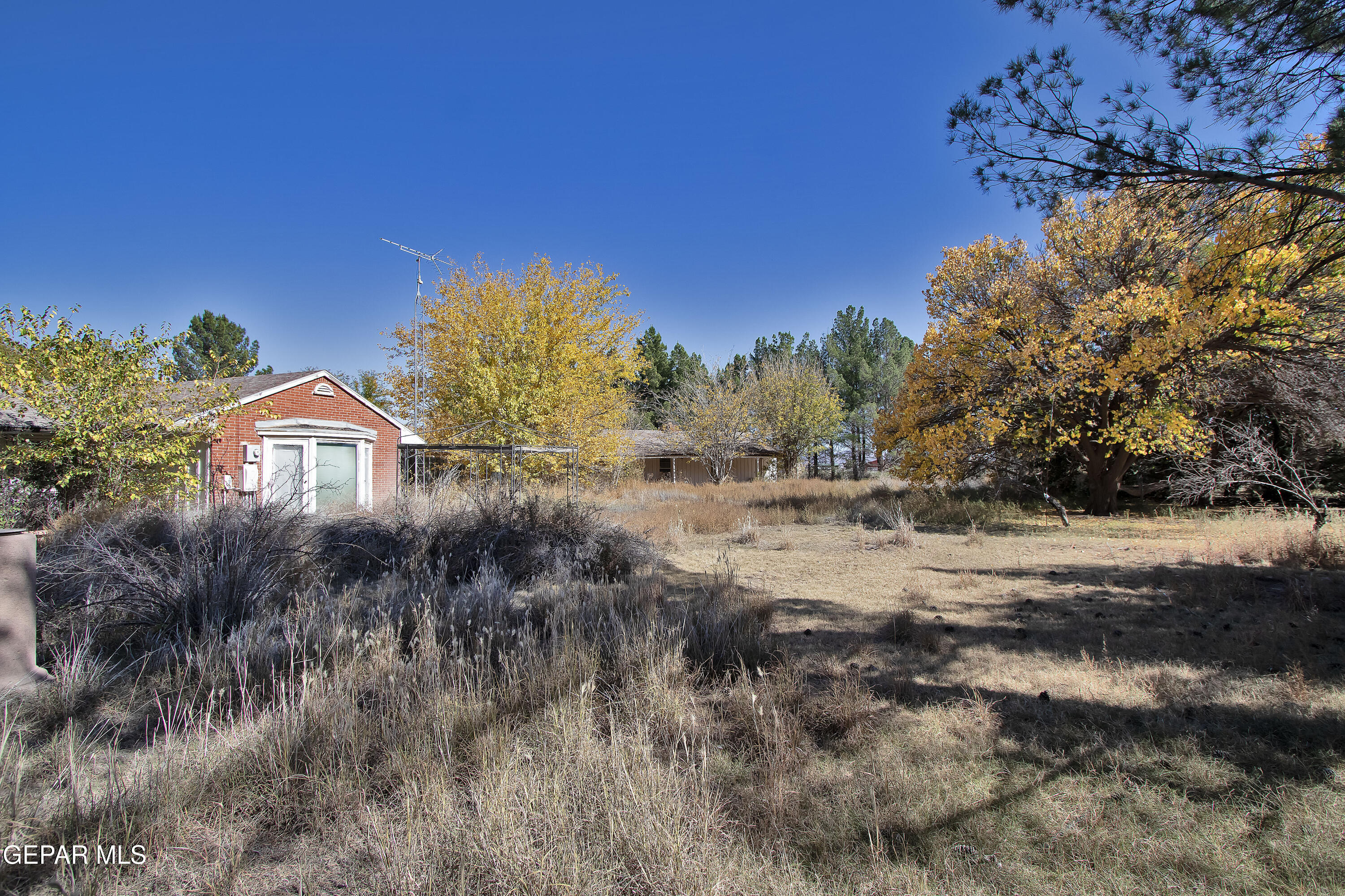 110 Southwest Creosote Road Deming, OUT OF SERVICE AREA 88030 - Photo 83 of 101 Backyard