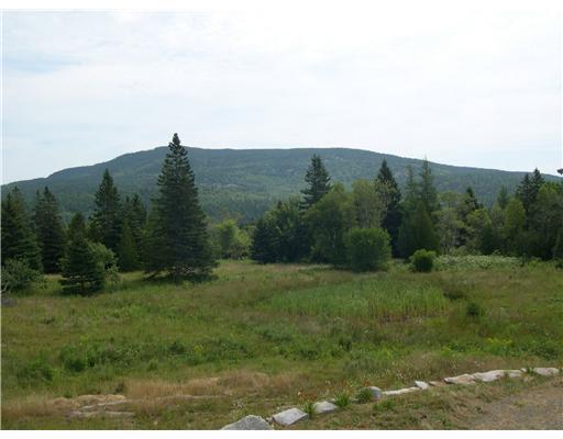 1364 Tremont Road Tremont, ME 04674 - Photo 3 of 7 View.