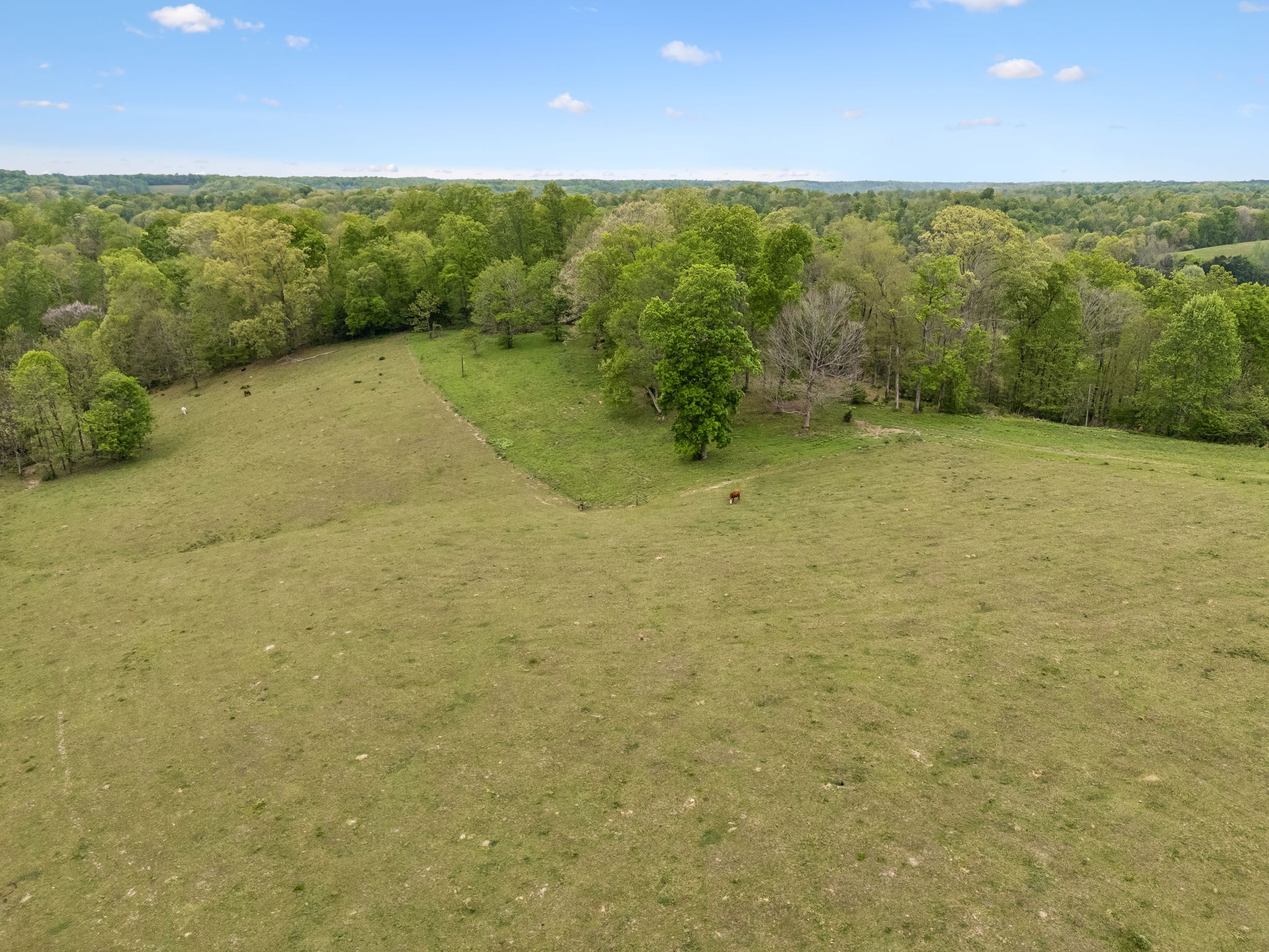 1159 Stella Road Prospect, TN 38477 - Photo 36 of 54 a view of an outdoor space and a yard