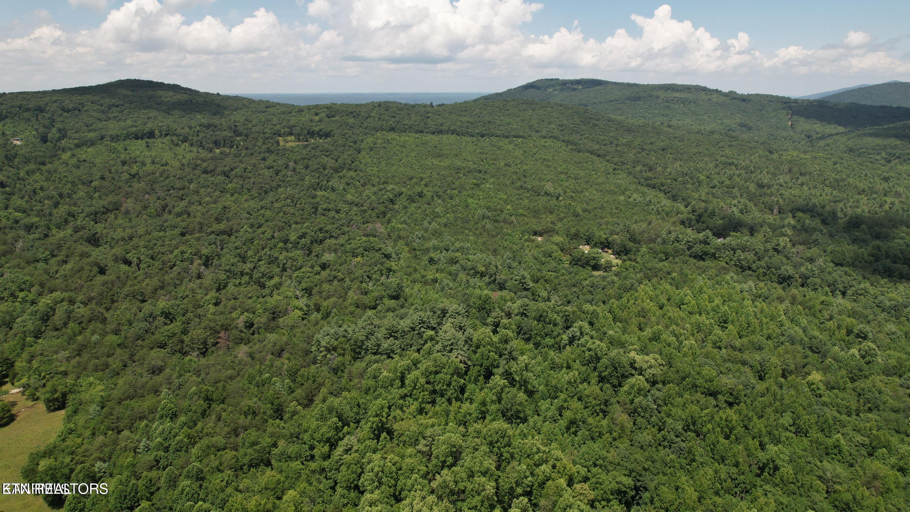 Shady Oaks Dr Spring Spring City, TN 37381 - Photo 3 of 11 20241113010755988954000000-o