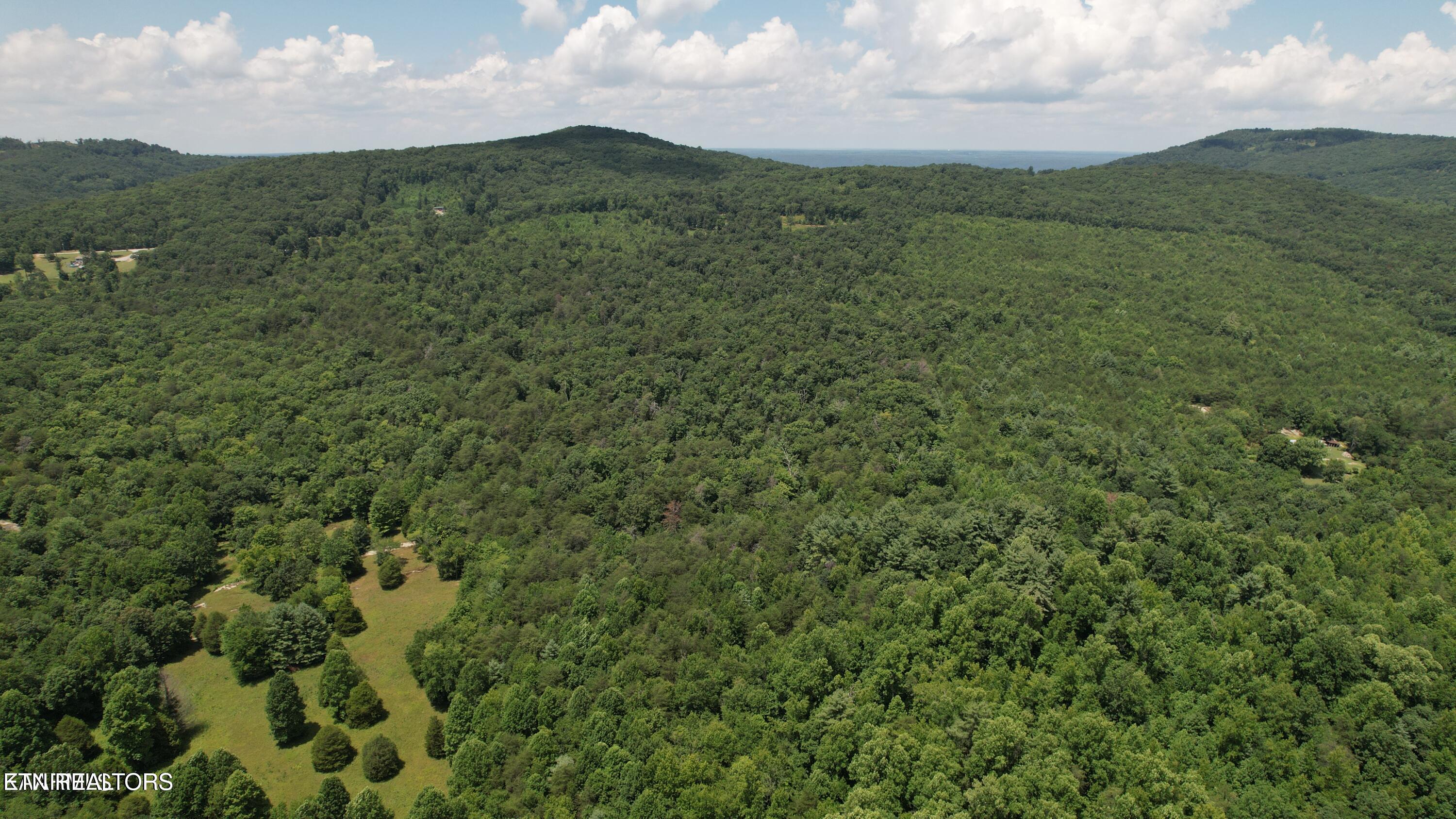 Shady Oaks Dr Spring Spring City, TN 37381 - Photo 4 of 11 20241113010759629579000000-o