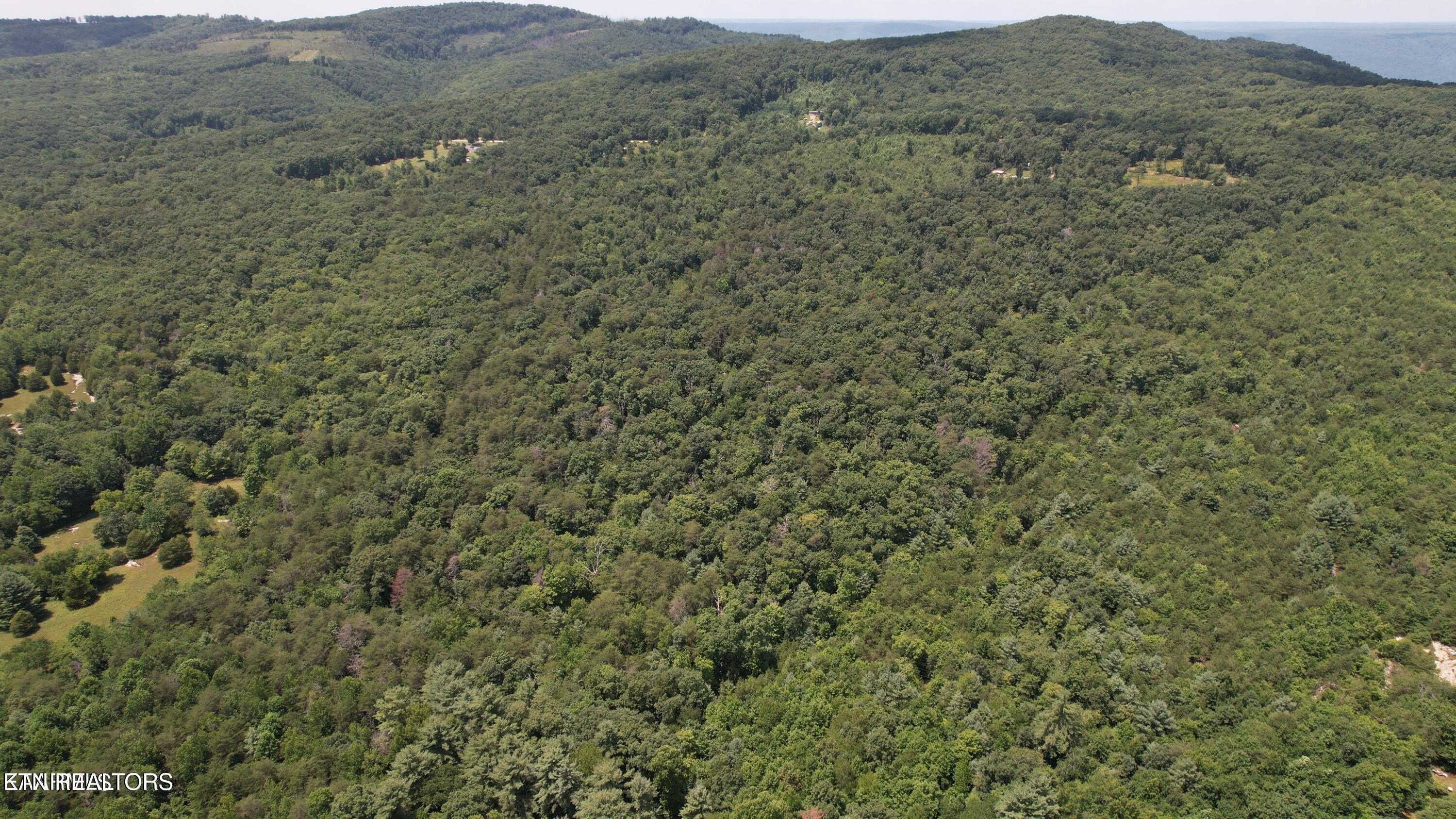 Shady Oaks Dr Spring Spring City, TN 37381 - Photo 5 of 11 20241113010803933302000000-o