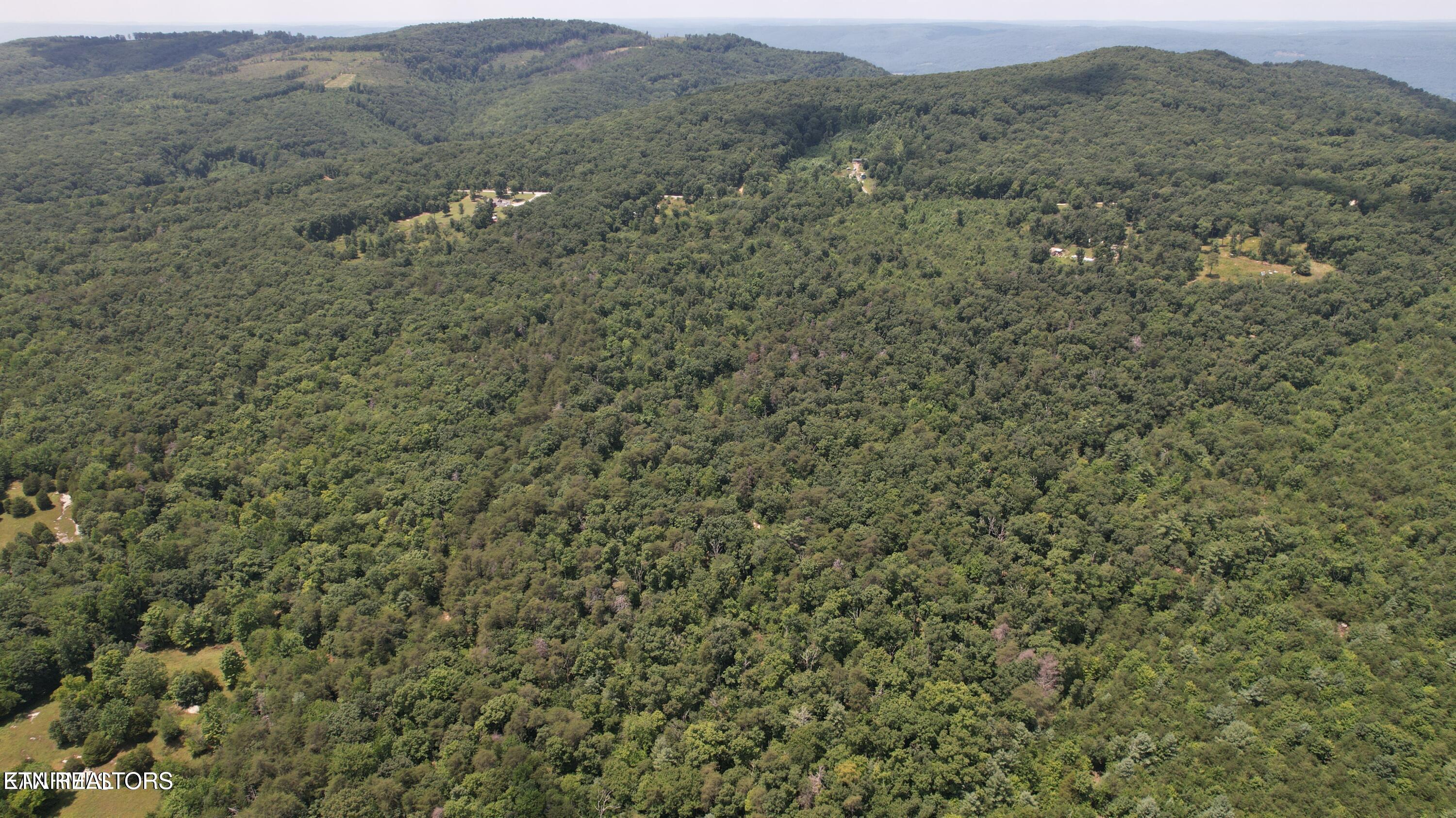 Shady Oaks Dr Spring Spring City, TN 37381 - Photo 6 of 11 20241113010807639573000000-o