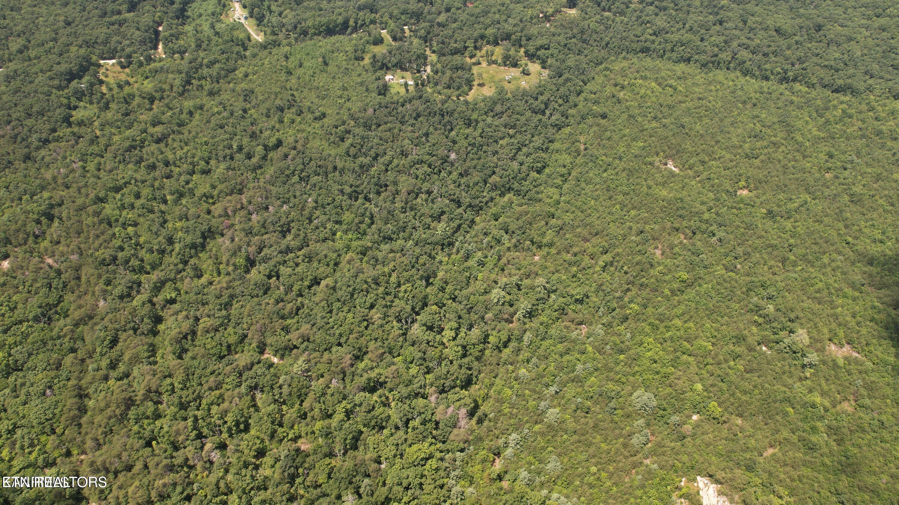 Shady Oaks Dr Spring Spring City, TN 37381 - Photo 7 of 11 20241113010811263420000000-o