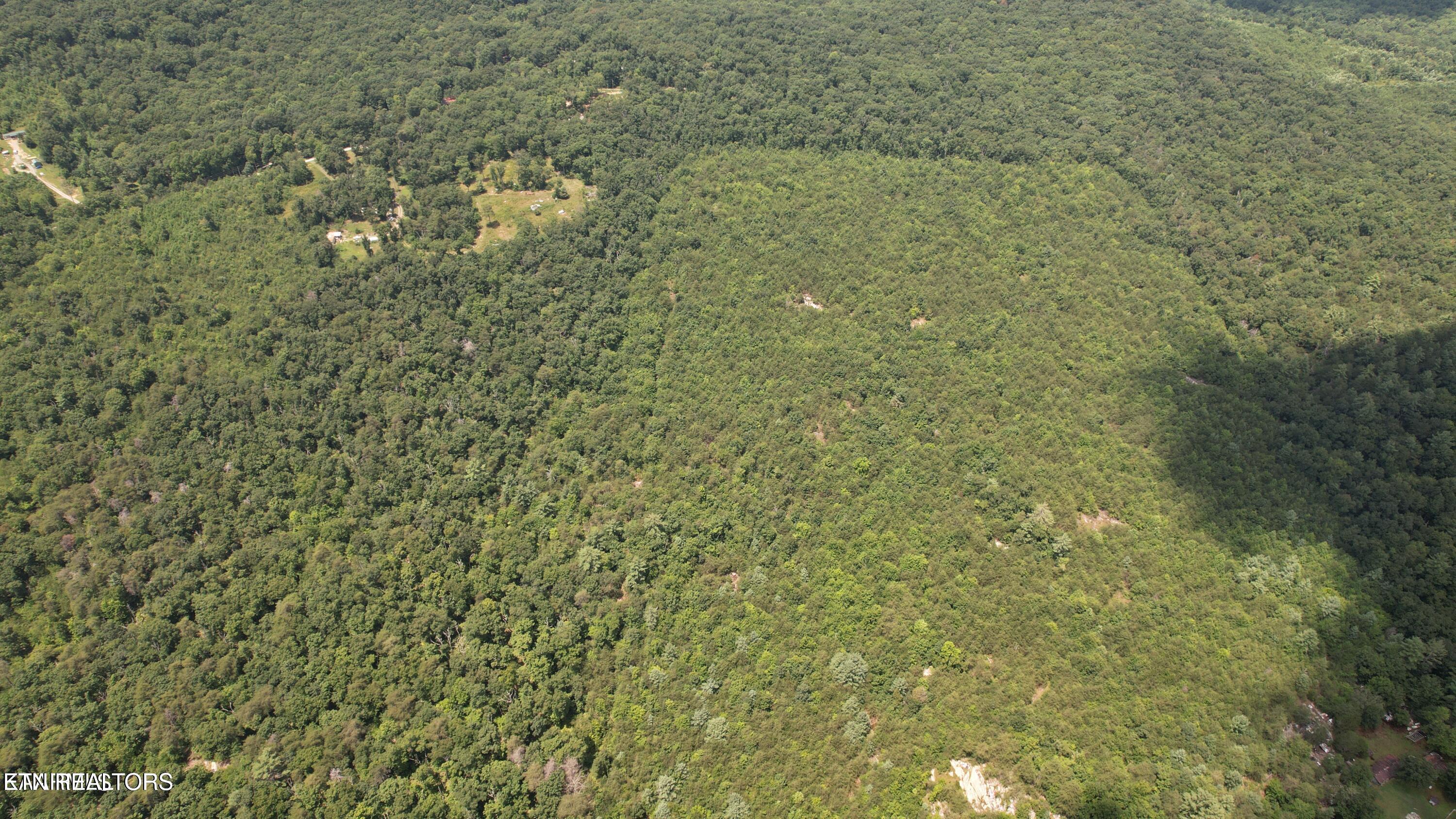 Shady Oaks Dr Spring Spring City, TN 37381 - Photo 8 of 11 20241113010814772940000000-o