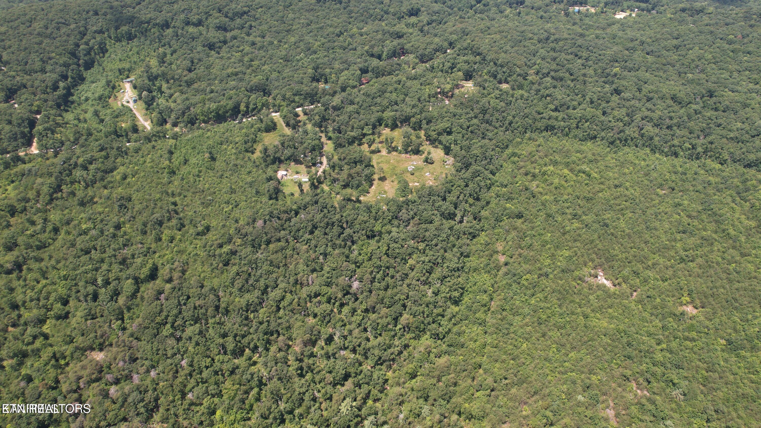 Shady Oaks Dr Spring Spring City, TN 37381 - Photo 9 of 11 20241113010818444841000000-o