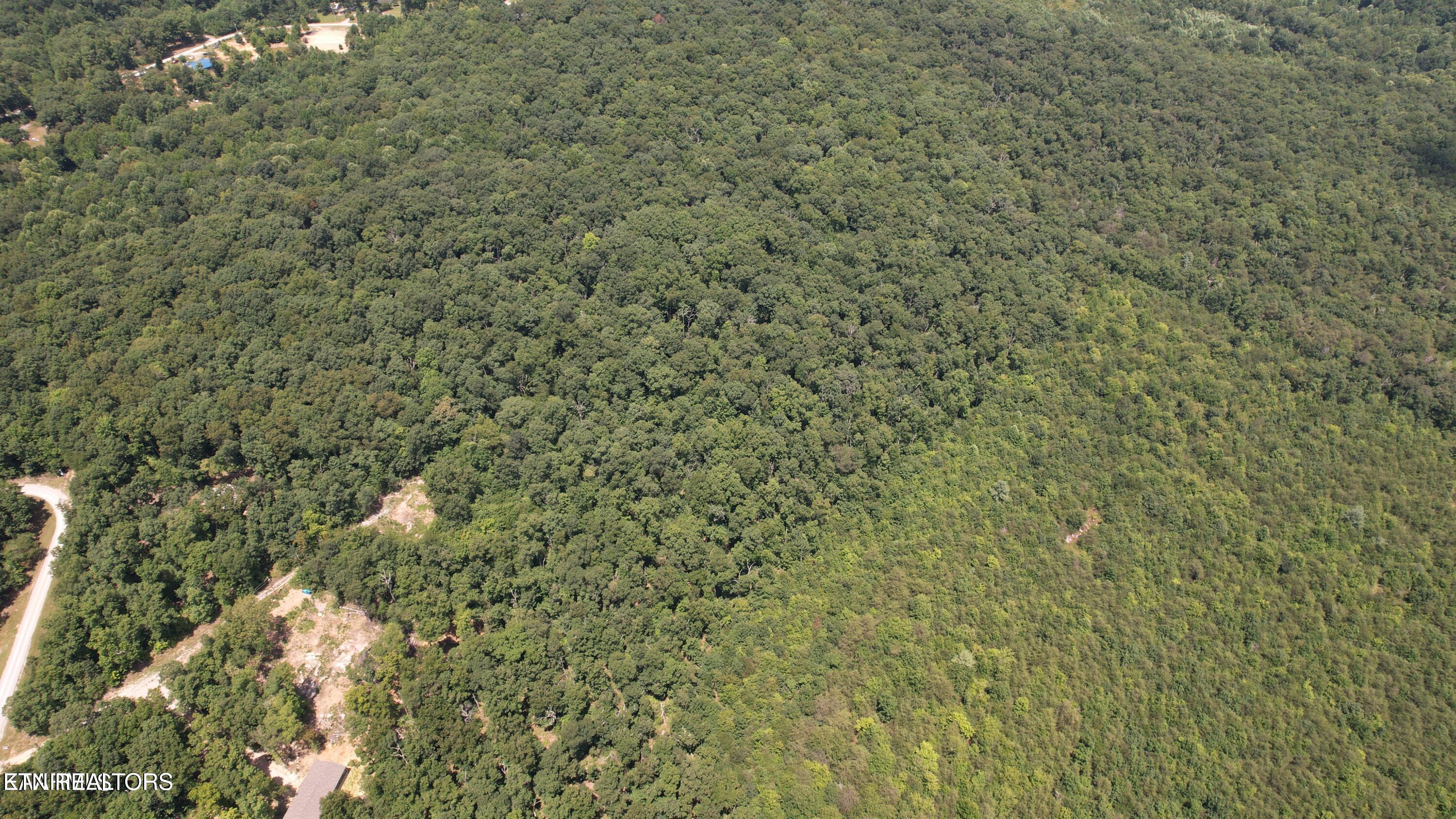 Shady Oaks Dr Spring Spring City, TN 37381 - Photo 10 of 11 20241113010822169601000000-o