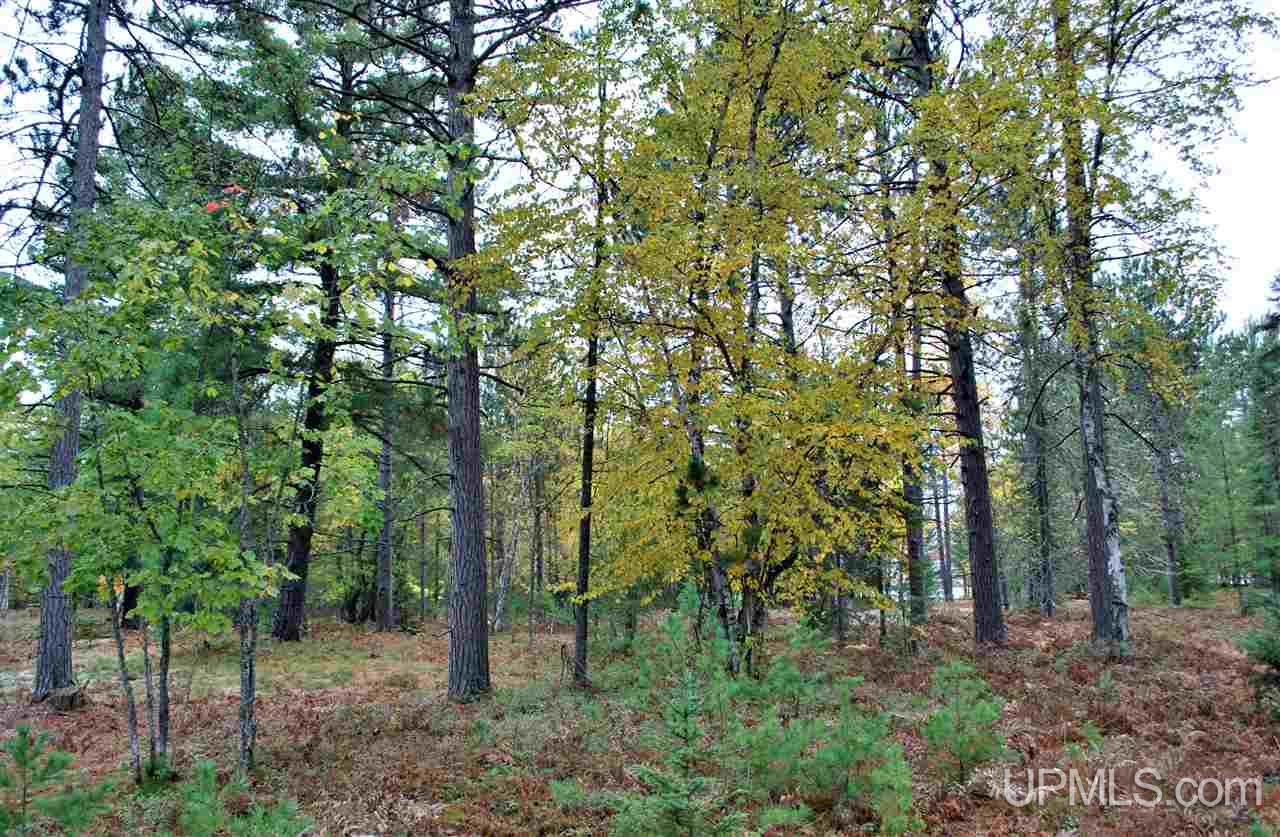 Tbd Little Rice Lake Rd (lot 18), Unit 18 Lake Linden, MI 49945 - Photo 6 of 34