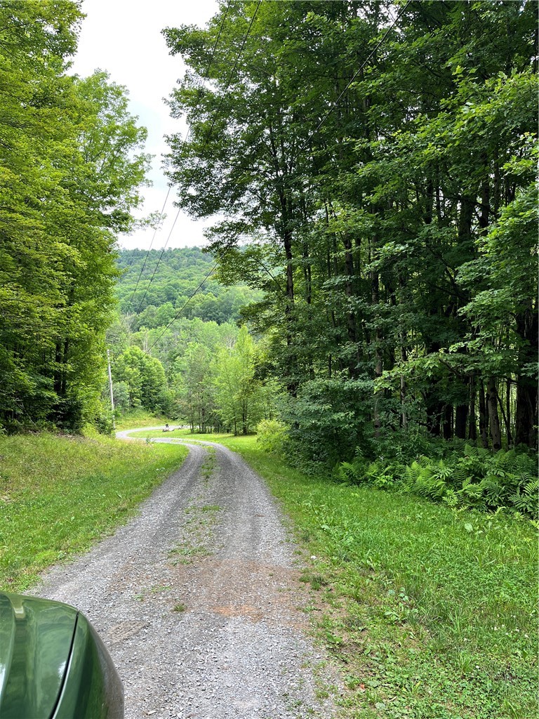 0 Marvin Hollow Road Walton, NY 13856 - Photo 5 of 22 This is a view down the ROW