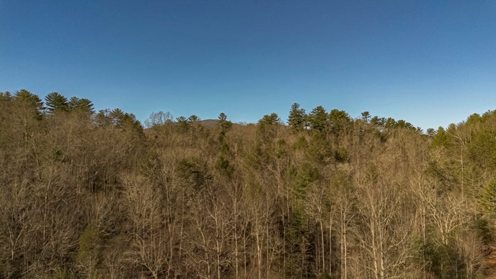 200 Mt Liberty Road McCaysville, GA 30555 - Photo 19 of 26 Gallery Image 19