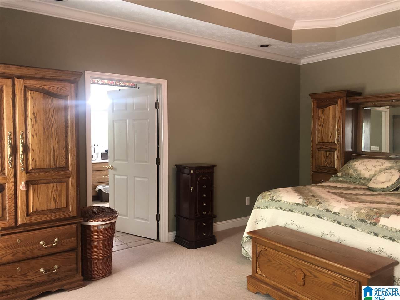 795 County Road 159 Jemison, AL 35085 - Photo 29 of 49