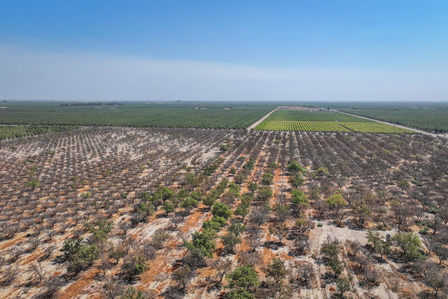 0 Ave 72 Pixley, CA 93256 - Photo 5 of 6 a view of lake